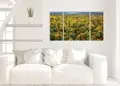 Πίνακας σε καμβά για χώρο που μπορεί να προορίζεται, τοπίο δάσους, με φυσικό και μοντέρνο στυλ διακόσμησης.