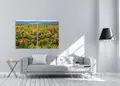 Πίνακας σε καμβά για χώρο που μπορεί να προορίζεται, τοπίο δάσους, με φυσικό και μοντέρνο στυλ διακόσμησης.