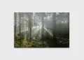 Πίνακας σε καμβά για χώρο που μπορεί να προορίζεται για σαλόνι, με θέμα το τοπίο ενός δάσους, σε ρεαλιστικό και μοντέρνο στυλ.