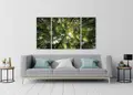 Πίνακας σε καμβά για χώρο που μπορεί να προορίζεται ως καθιστικό, με θέμα δάσος, σε ρεαλιστικό στυλ και μοντέρνα διακόσμηση.