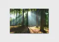 Πίνακας σε καμβά για χολ με τοπίο δάσους, ρεαλιστικός και μοντέρνου στυλ διακόσμησης.