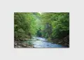 Πίνακας σε καμβά για χώρο που μπορεί να προορίζεται για τοίχο, τοπίο με ποτάμι, αφηρημένο στυλ, μοντέρνα διακόσμηση.