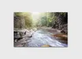 Πίνακας σε καμβά τοπίου, με εικόνα ποταμού σε φυσικό σκηνικό, μοντέρνο στυλ διακόσμησης.