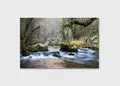 Πίνακας σε καμβά τοπίου, με φυσικά στοιχεία, αφηρημένο στυλ, ιδανικός για μοντέρνο χώρο.