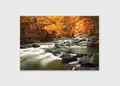 Πίνακας σε καμβά για χώρο που μπορεί να προορίζεται σε σαλόνι, με θέμα τοπίο ποταμού σε ρεαλιστικό στυλ και μοντέρνα διακόσμηση.