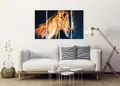Πίνακας σε καμβά για σαλόνι, με αφηρημένο στυλ και μοντέρνα διακόσμηση.