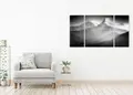 Πίνακας σε καμβά για το χώρο που μπορεί να προορίζεται, ασπρόμαυρη εικόνα με αφηρημένο στυλ και μοντέρνα διακόσμηση.