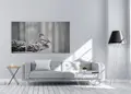 Πίνακας σε καμβά για χώρο που μπορεί να προορίζεται, με ασπρόμαυρη εικόνα σε μοντέρνο στυλ διακόσμησης.