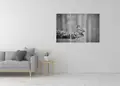 Πίνακας σε καμβά για χώρο που μπορεί να προορίζεται, με ασπρόμαυρη εικόνα σε μοντέρνο στυλ διακόσμησης.