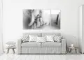Πίνακας σε καμβά για μοντέρνο χώρο με ασπρόμαυρη εικόνα, αφηρημένο στυλ και minimal διακόσμηση.