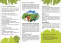 Διαφημιστικό φυλλάδιο με ζωντανά χρώματα και πτυσσόμενο σχέδιο.
