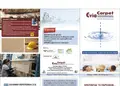 Δίπτυχη μπροσούρα με ζωντανά χρώματα για προώθηση υπηρεσιών.