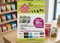Flyer προώθησης με ζωηρή παλέτα χρωμάτων και στρατηγική διάταξη, ιδανικό για εκπτώσεις και εταιρικές ενημερώσεις.