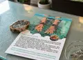 Flyer εκτύπωσης με ζωντανό χρώμα φόντου και ευανάγνωστο κείμενο, ιδανικό για προσφορές και εκδηλώσεις.