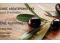 Αυτοκόλλητα σε ζωντανές χρωματικές αποχρώσεις, ποικιλία σχημάτων, ιδανικά για επαγγελματική προώθηση και διακόσμηση.