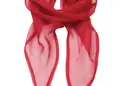 Κομψό γυναικείο φουλάρι PR740 από 100% πολυέστερ chiffon, με διάτρητο σχέδιο. Ιδανικό για επαγγελματικές περιστάσεις, διαθέτει δυνατότητα εκτύπωσης λογοτύπου.